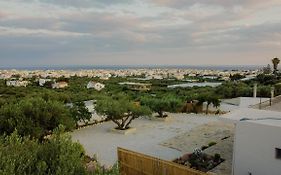 Rose View